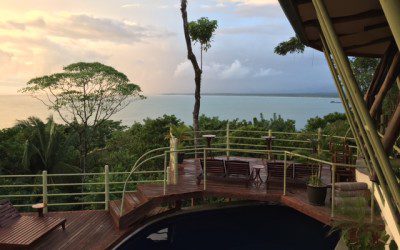 Vitamin D Protects the Brain, Essential in Recovering from Concussions and TBI